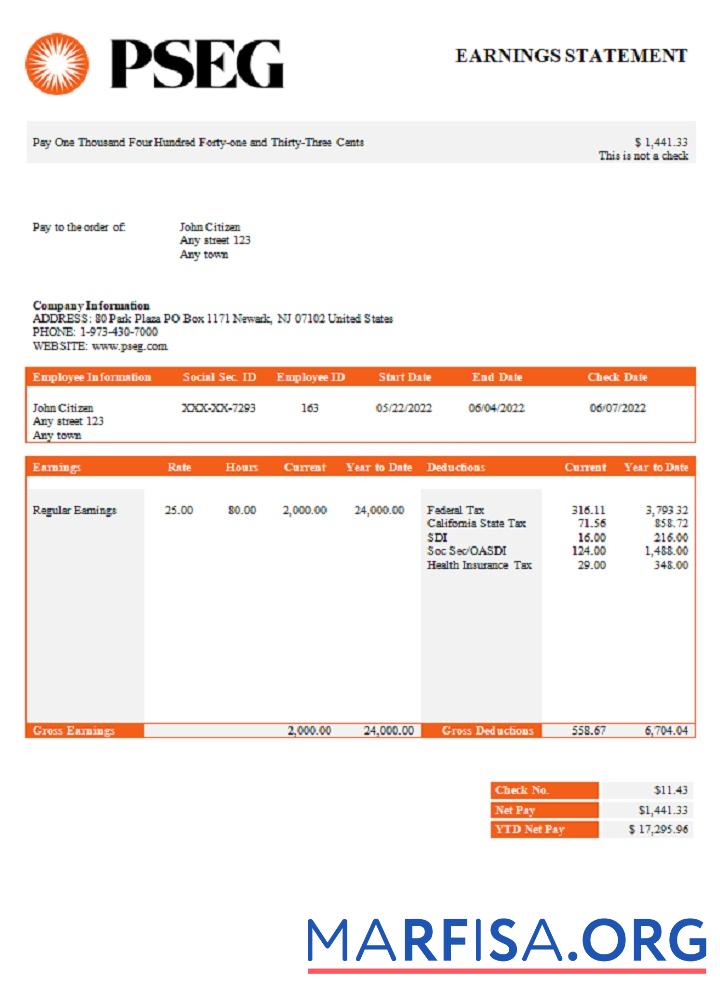Realistic USA PSEG utilities company pay stub example